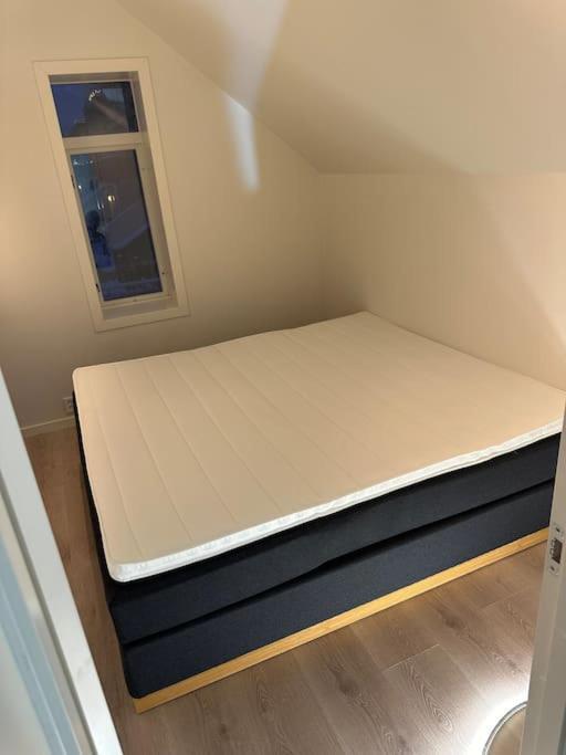 I Hjertet Av Nordens Paris. Tromsø